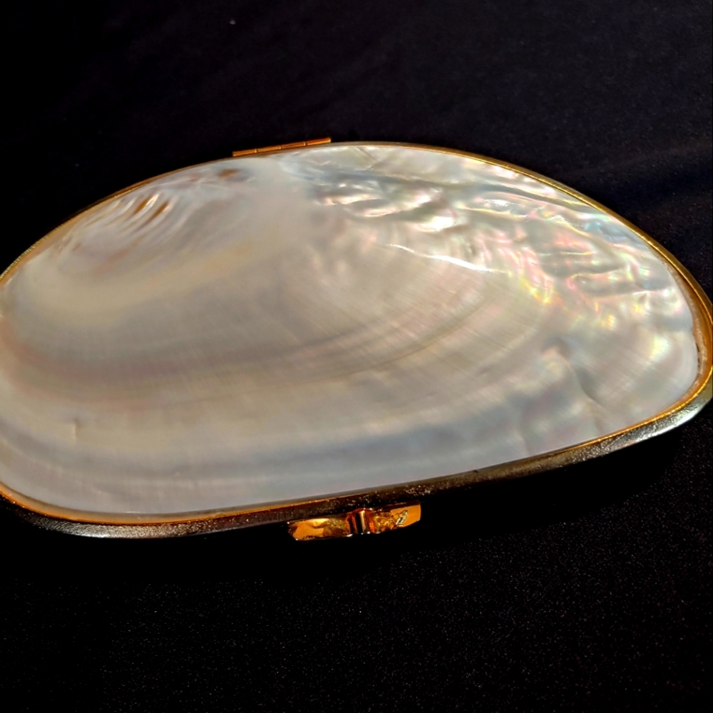 Woman's Pearl Clutch purse